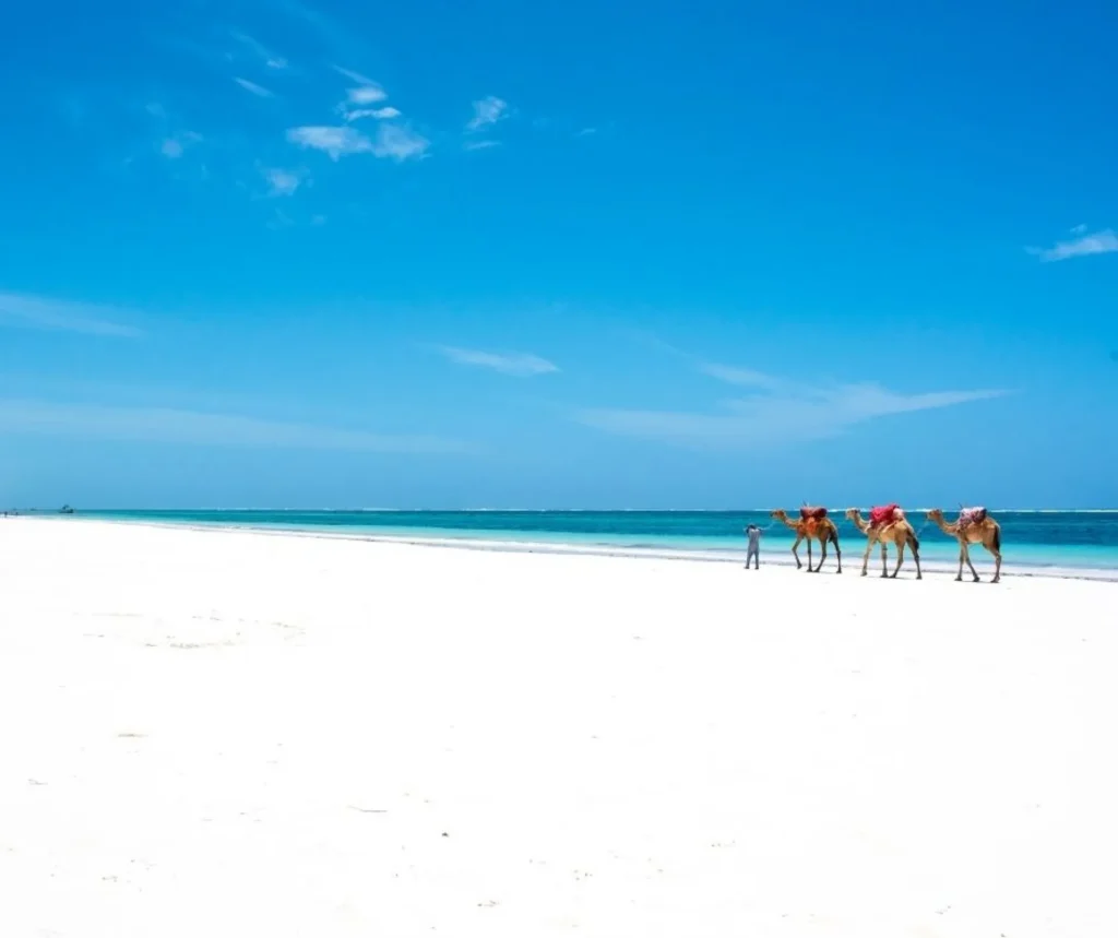 Extensión a Mombasa