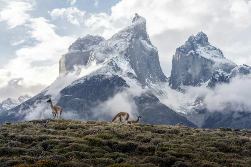 Andes Ecuatoriales 2026