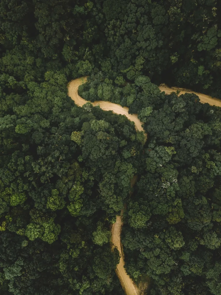 Eco-Expedición Colonial Maya