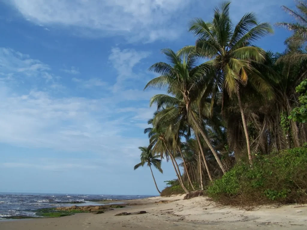 Palmeras en la Nieve, Guinea Equatorial