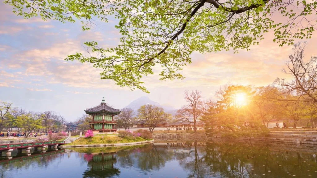 Coreapón by Himba, Corea del Sur e Isla de Kyushu, Japón