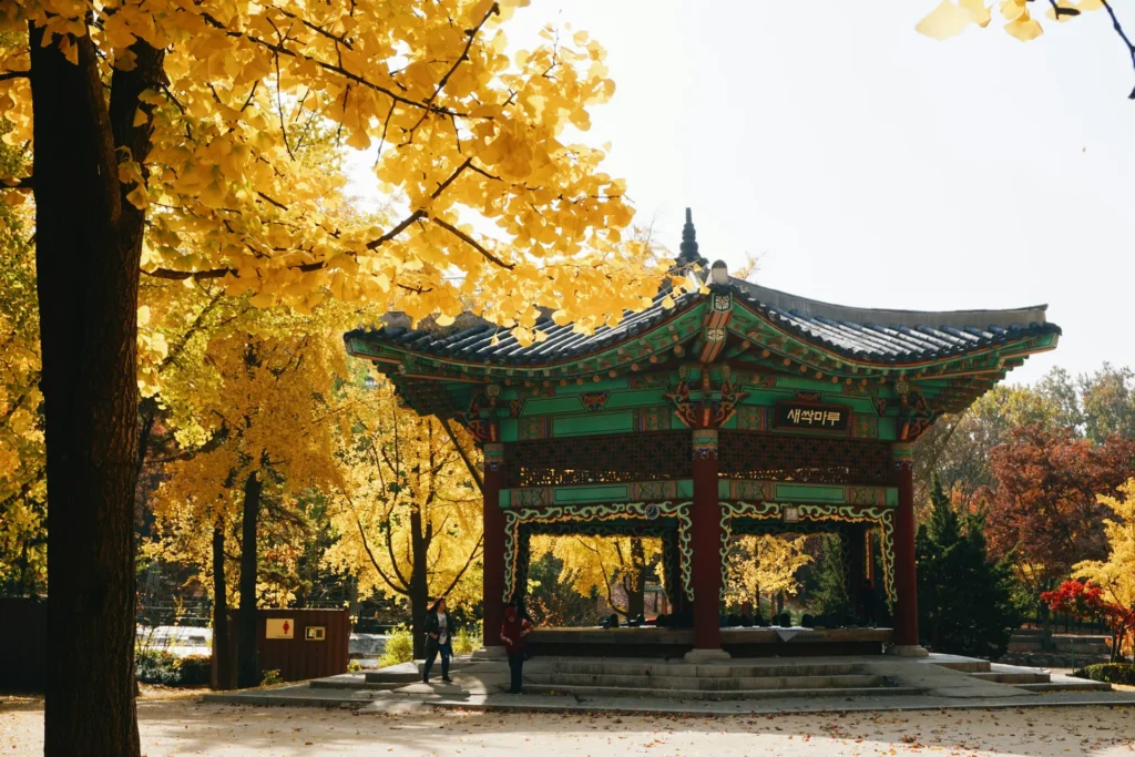 Coreapón by Himba 2.0, Corea del Sur e Isla de Kyushu, Japón – Octubre 2027